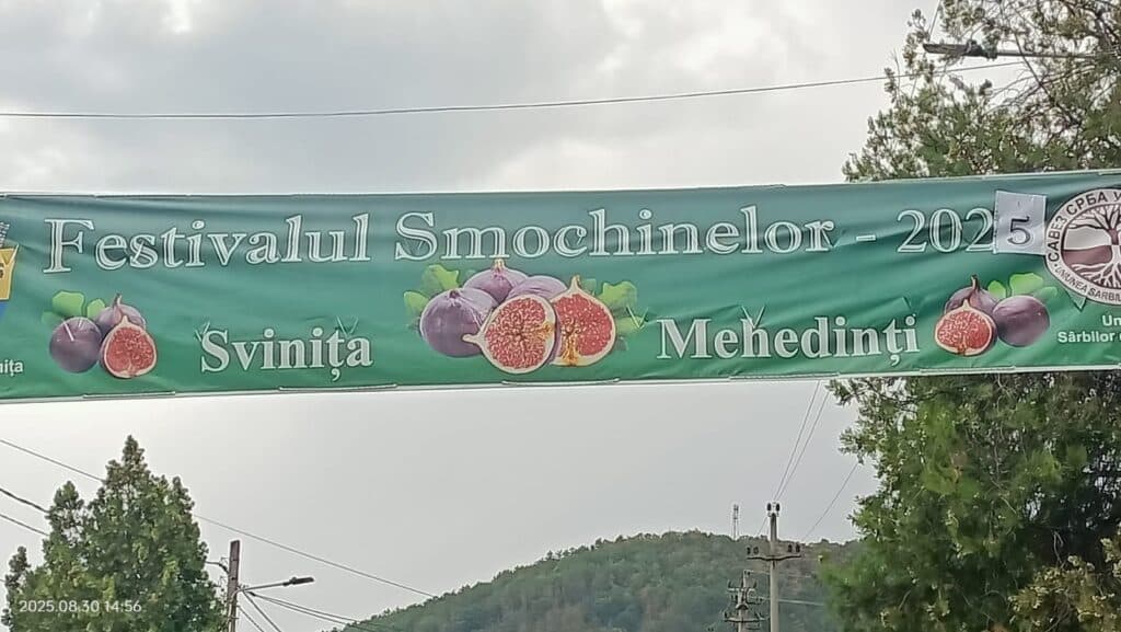 Polițiștii din Mehedinți interacționează cu comunitatea la Festivalul Smochinelor din Svinița, împărtășind sfaturi de siguranță și prevenție pentru toate vârstele